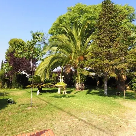 Spacious In With Private Pool And Garden Olocau