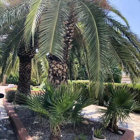 Spacious In With Private Pool And Garden Olocau